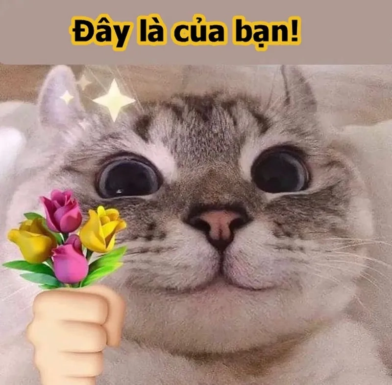 Một tặng bông hoa meme đáng yêu sẽ làm bạn cười không ngừng!