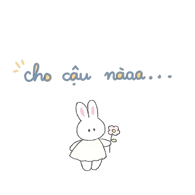 Ảnh meme con mèo tặng hoa cực kỳ dễ thương và ngọt ngào!