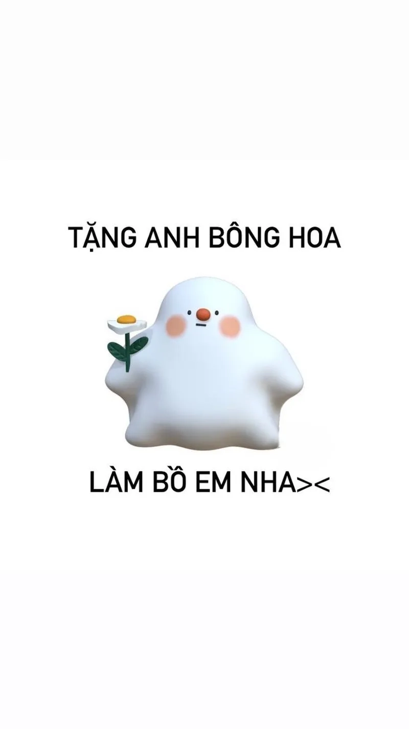 Hình ảnh mèo cute meme tặng hoa mang lại cảm giác ấm áp cho bạn!