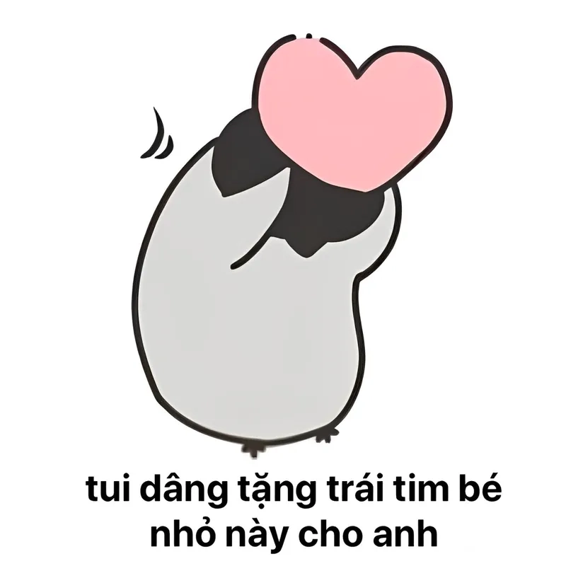 Mèo tặng bông meme khiến người xem không thể không yêu thích!