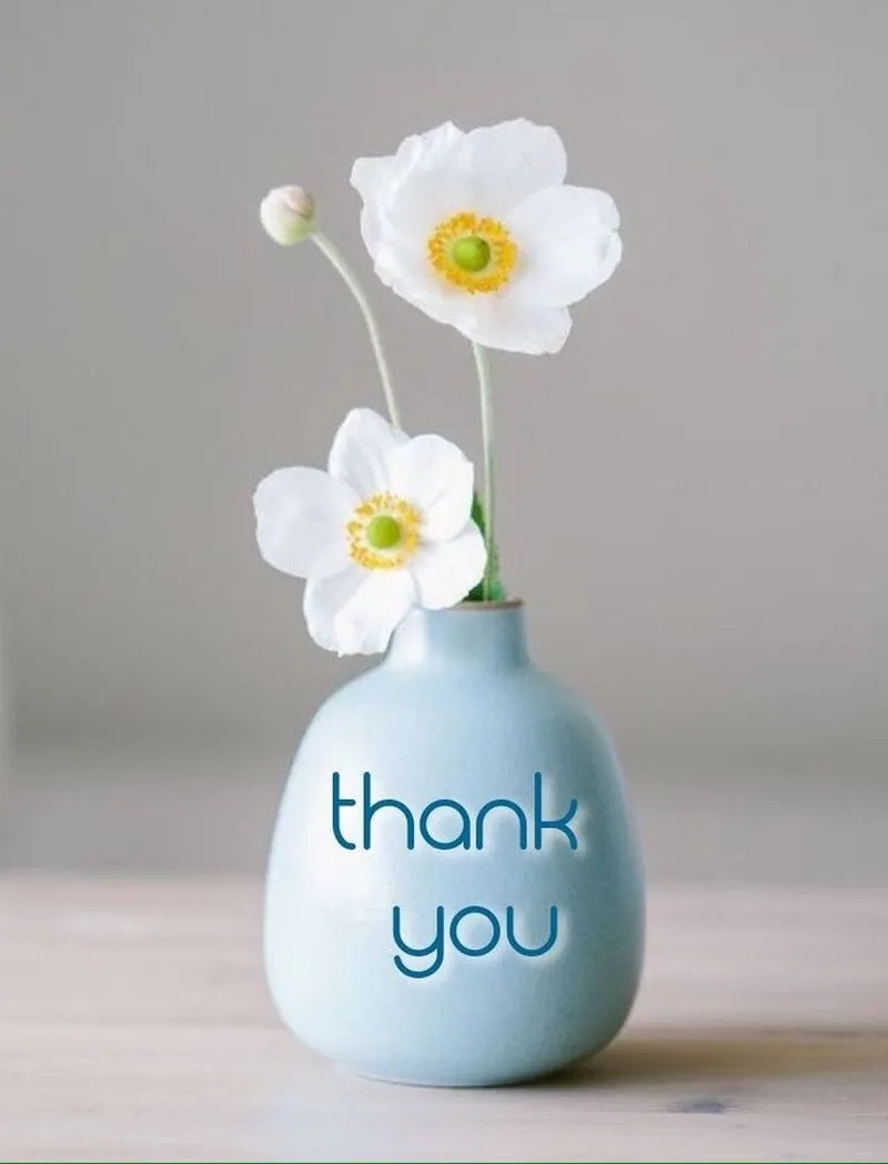 Khoảnh khắc không thể nhịn cười với no thank you meme funny! Khoảnh khắc không thể nhịn cười với no thank you meme funny!