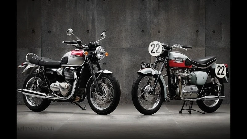 Khuyến mãi và ưu đãi trong tháng 2/2025