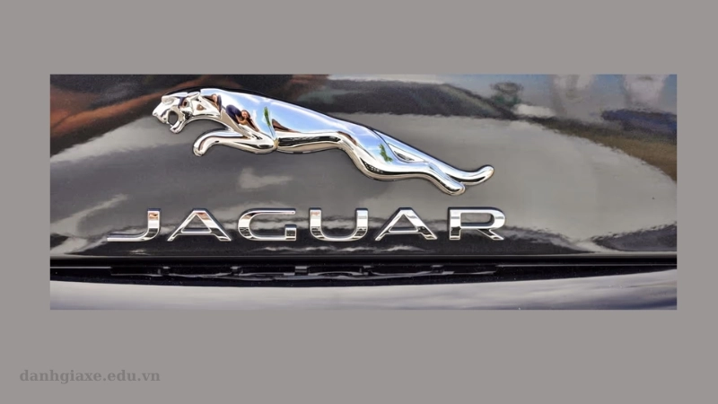 Thương hiệu toàn cầu và tầm ảnh hưởng