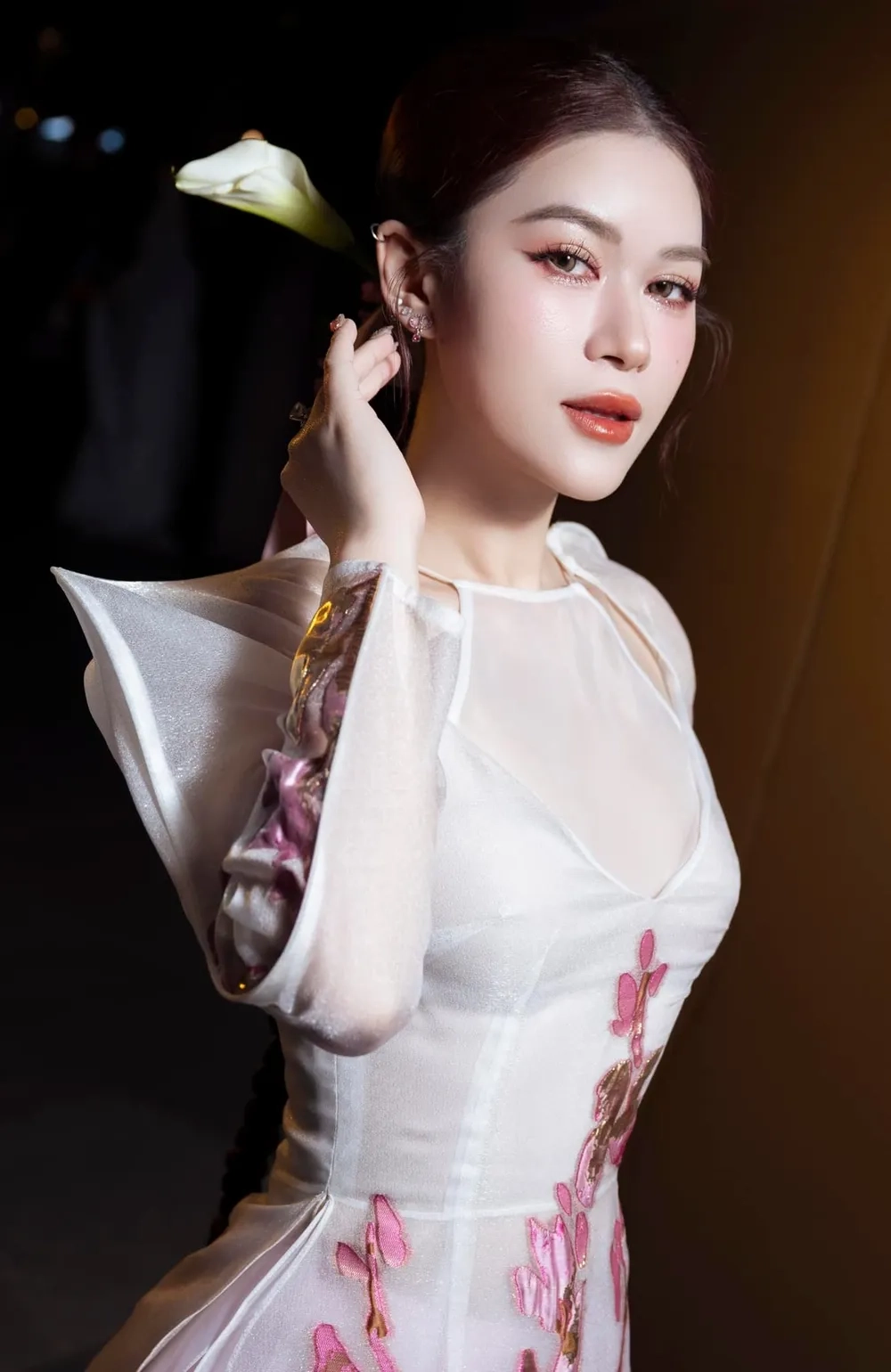 Tiểu sử đầy đủ Diễn viên Ngọc Thanh Tâm