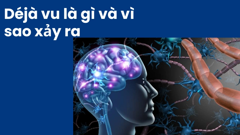 Mô phỏng não bộ xử lý thông tin gây ra hiện tượng déjà vu
