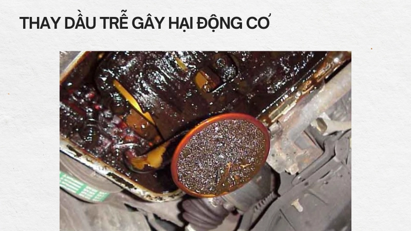 Thay dầu trễ ảnh hưởng gì đến động cơ xe của bạn